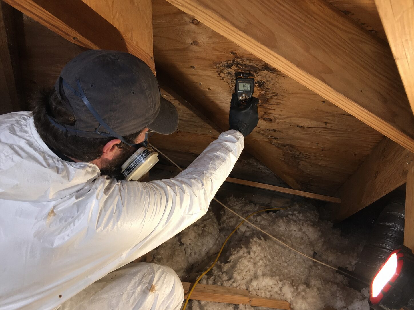 Technician checking moisture levels on attic roof decking with a meter