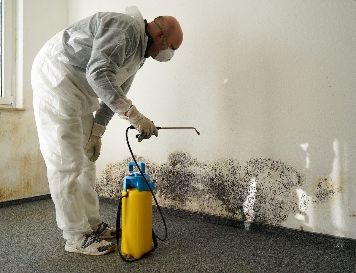Mold remediation and testing
